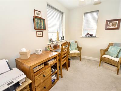 Picture 11